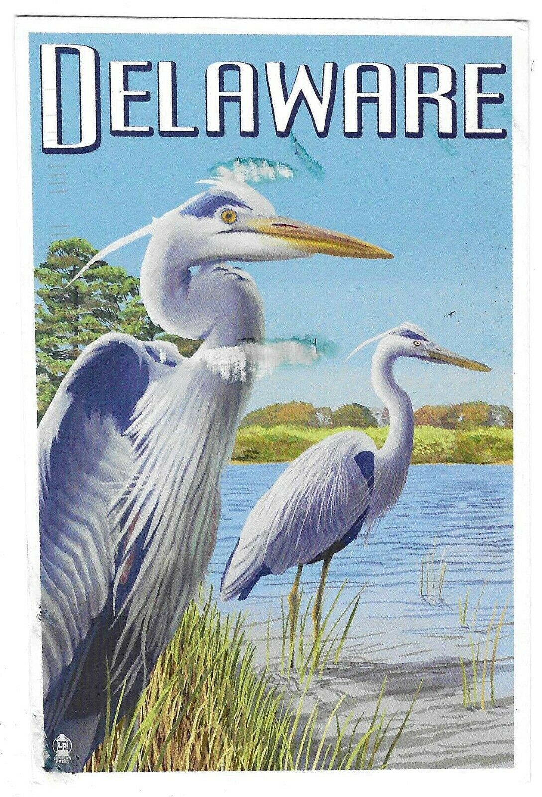 Delaware Chrome Postcard Blue Herons Scene Lantern Press Image