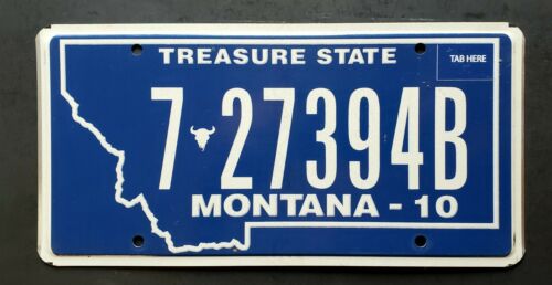 Montana Treasure State Retro 10 Big Sky Bison Skull Mt License Plate 7 27394b
