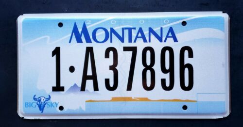 Montana Big Sky Bison Buffalo Skull 90s Mt Vintage Classic License Plate 1a37896