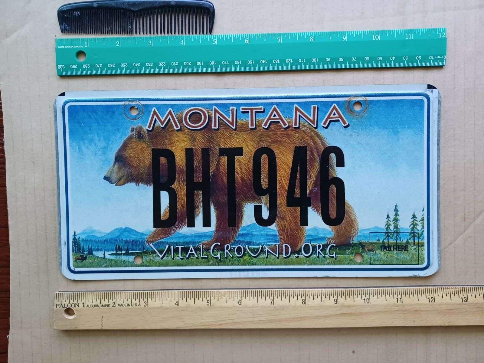 License Plate, Montana, Vital Ground, Jack & The Beanstalk Sized Bear, Bht 946