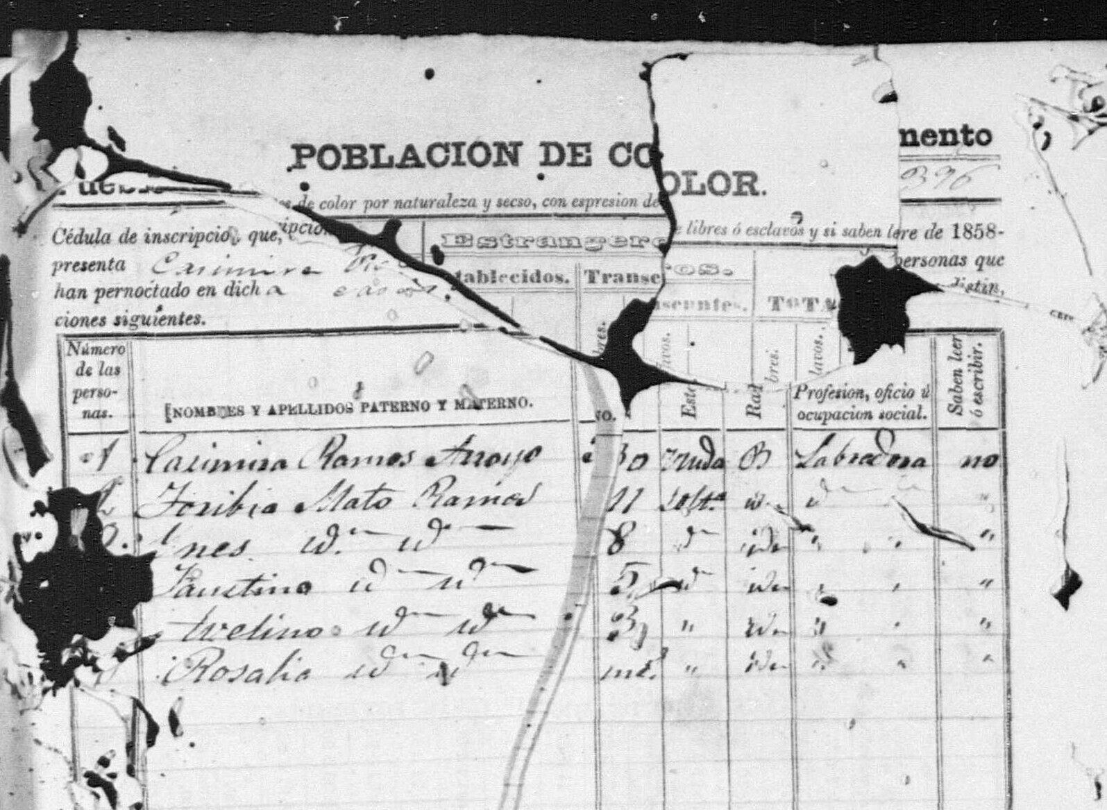 Comerio/sabana Del Palmar Puerto Rico Census Record/genealogy Records (c.1858)